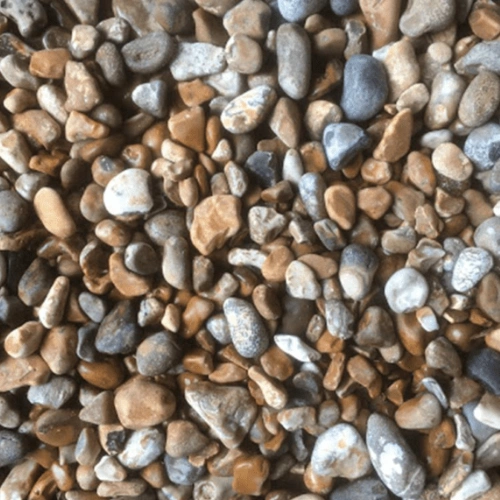 Oyster