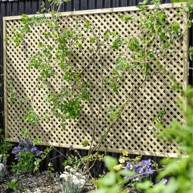 Square Top Diamond Trellis
